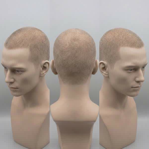 Схема головы